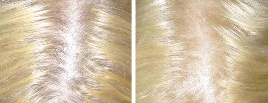 20250613News (4).jpg